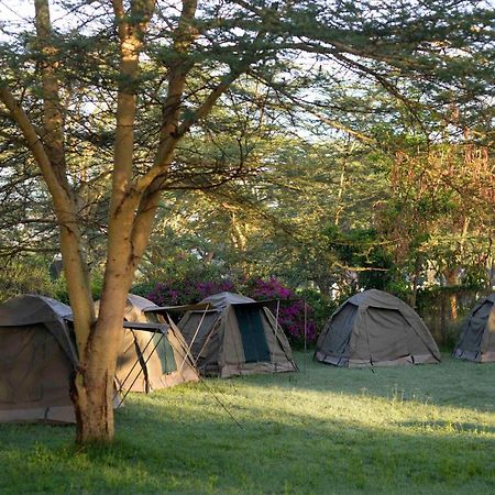 Burch'S Resort Naivasha Camping Eksteriør bilde