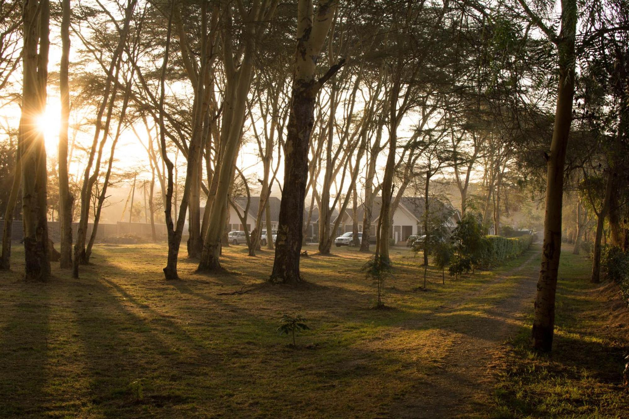 Burch'S Resort Naivasha Camping Eksteriør bilde